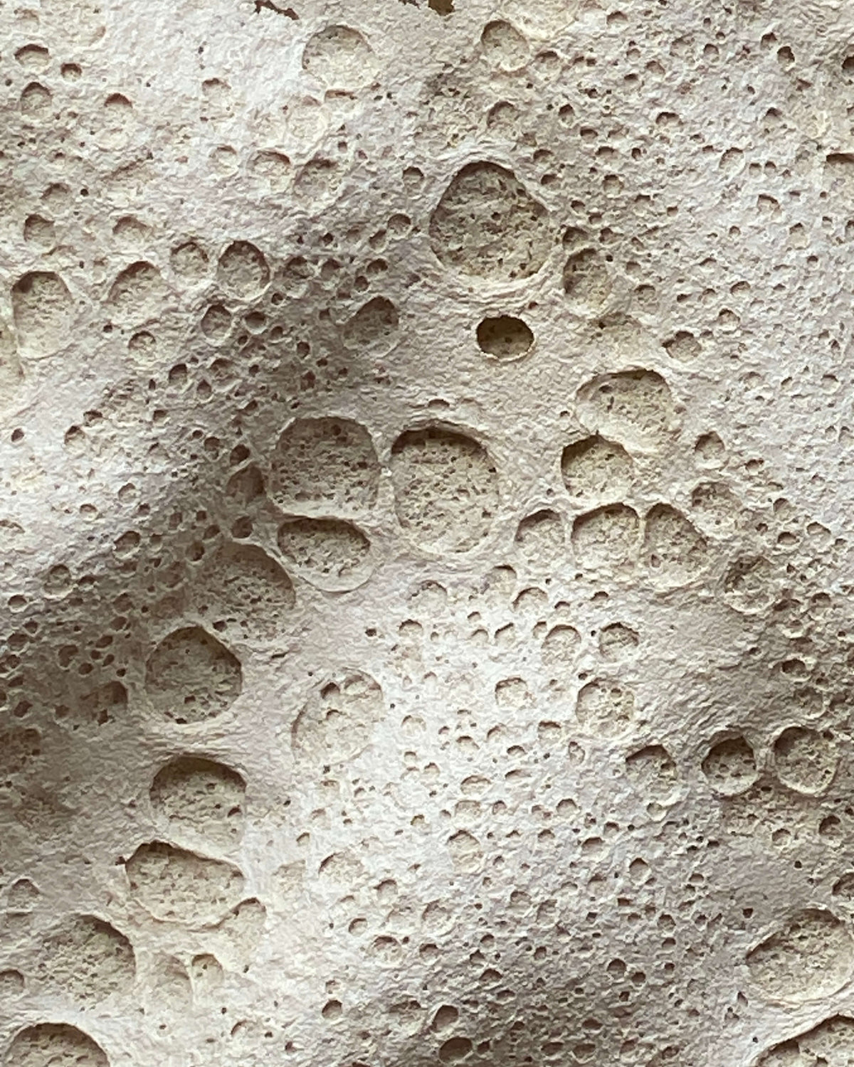 Detalje af den hvide, porøse overflade