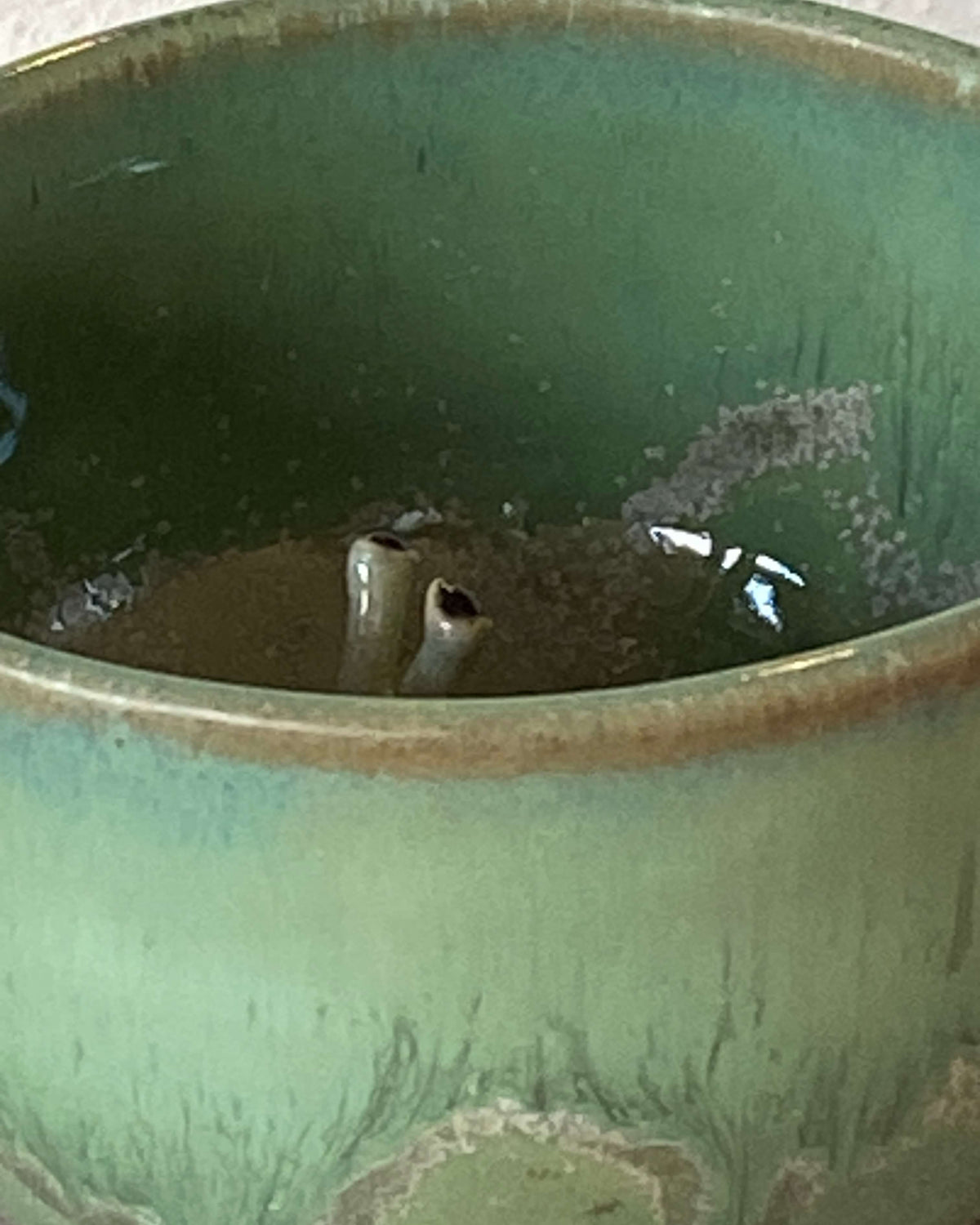 Nærbillede af grøn glasur og snegl i bunden af sneglekoppen